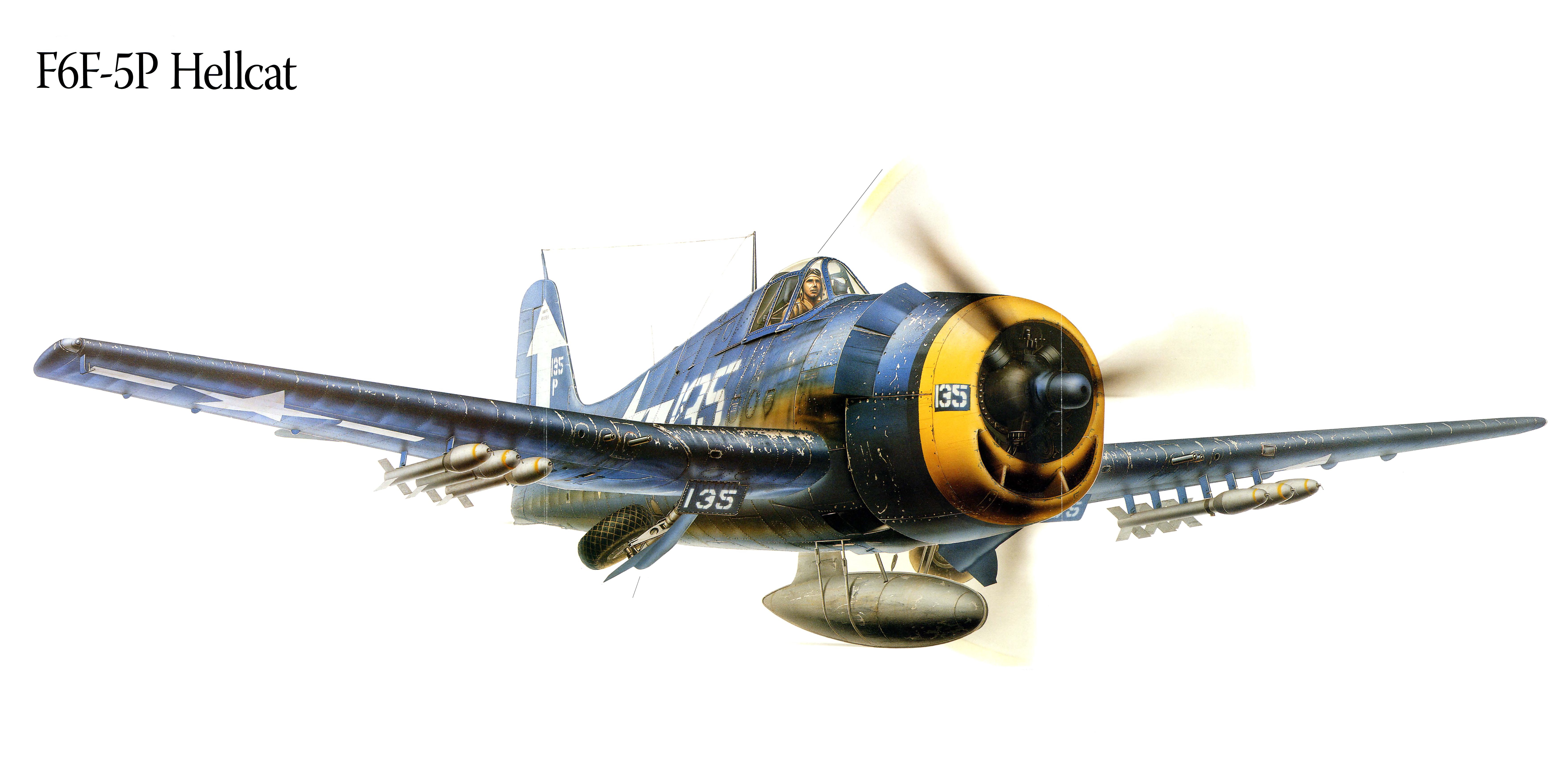 f6f 5p, Hellcat, Military, War, Art, Painting, Airplane, Aircraft, Weapon, Fighter Wallpaper