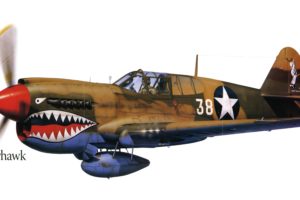 p 40e, Warhawk, Military, War, Art, Painting, Airplane, Aircraft, Weapon, Fighter