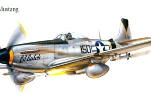 p 51d, Mustang, Military, War, Art, Painting, Airplane, Aircraft, Weapon, Fighter