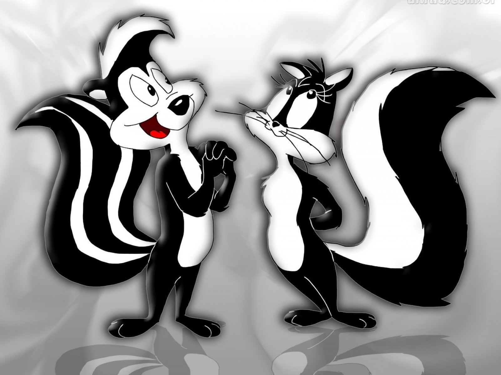Download hd wallpapers of 589573-pepe, Le, Pew, Looney, Tunes, French, Fran...