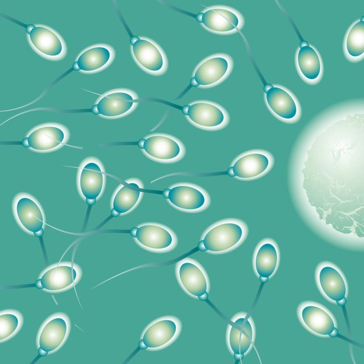 sperm, Abstraction, Abstract, Bokeh, Life, Sex, Sexual, Medical, Dna, Male, Man, Men, 1sperm, Mating, Psychedelic, Egg, Cell, Eggs, Swim, Swimming, Vector HD Wallpaper Desktop Background