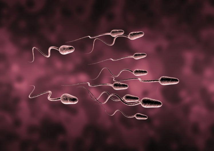 Sperm Abstraction Abstract Bokeh Life Sex Sexual