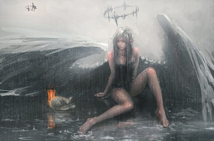 wing, Angel, Cat, Rain, Fantasy, Girl, Animal HD Wallpaper Desktop Background