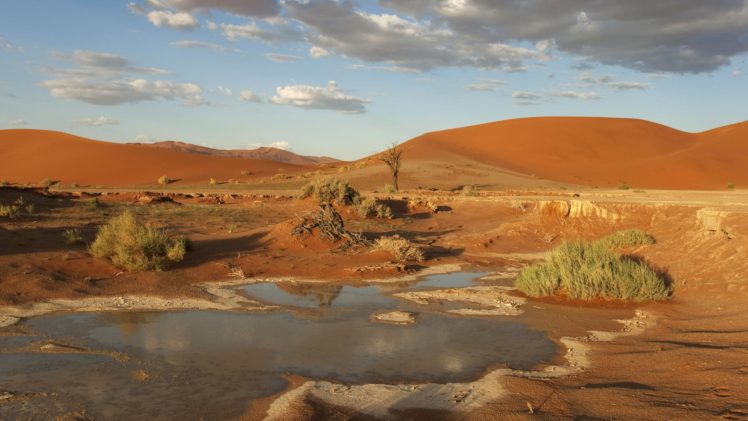 namibia, Africa, National, Park HD Wallpaper Desktop Background