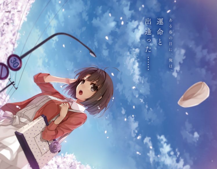 cherry, Blossoms, Clouds, Katou, Megumi, Misaki, Kurehito, Petals, Saenai, Heroine, No, Sodatekata, Short, Hair, Sky HD Wallpaper Desktop Background