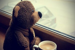 coffee, Window, Bears