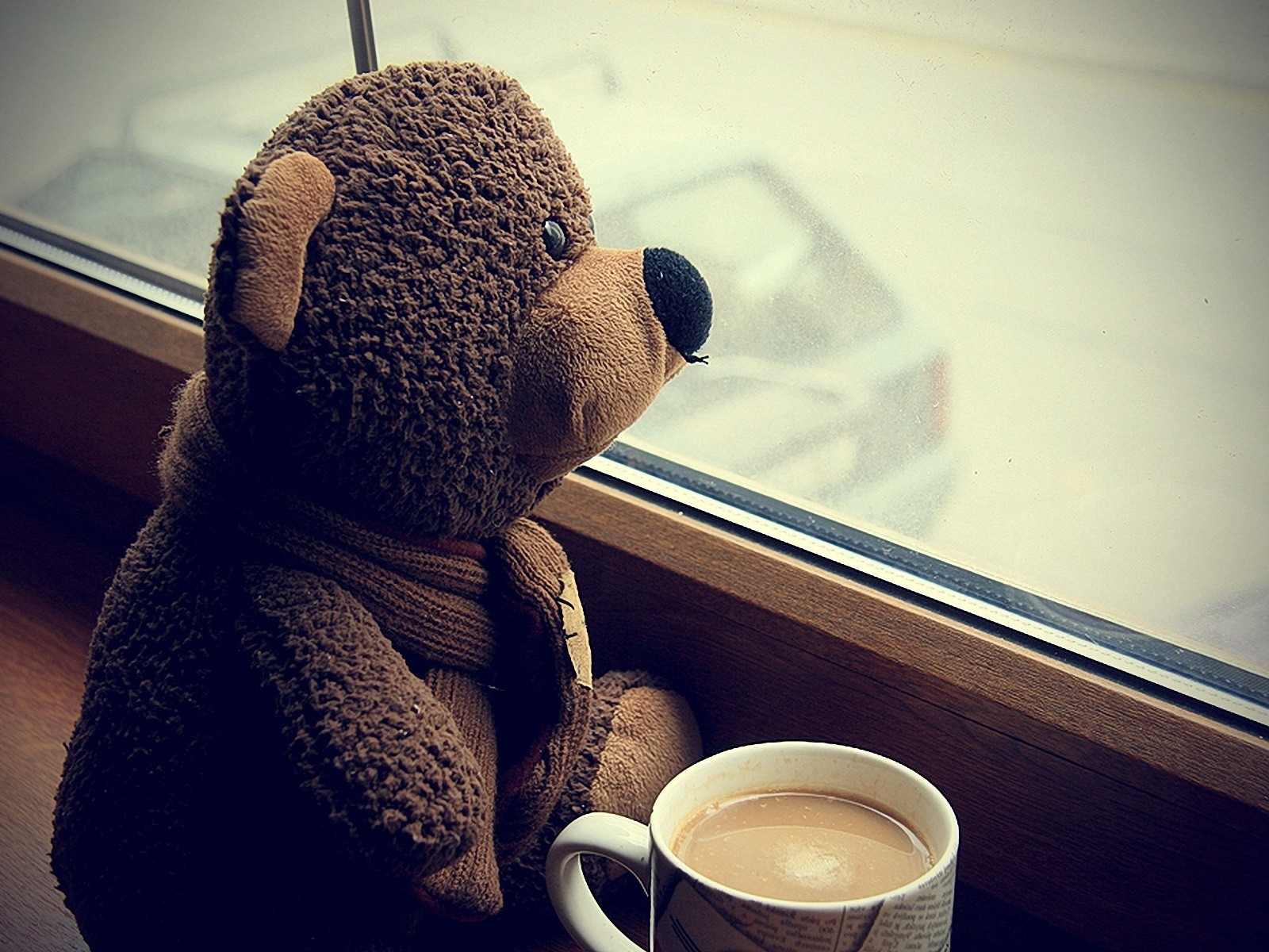 coffee, Window, Bears Wallpaper