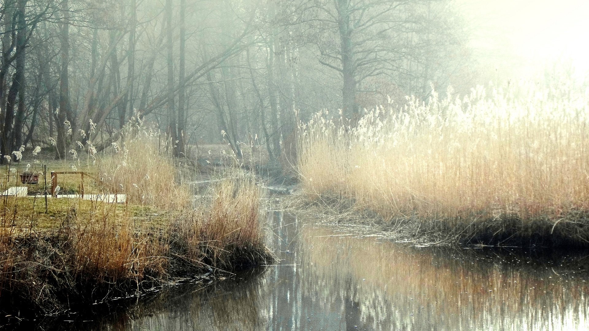 593327 Wallpapers HD / Desktop and Mobile Backgrounds