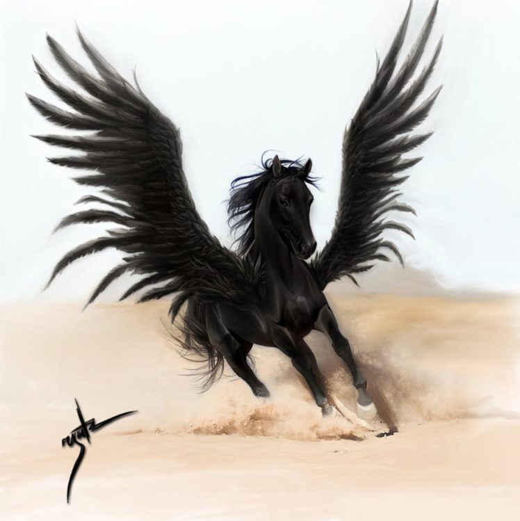 fantasy, Horse, Pegasus, Wings, Black, Beautiful HD Wallpaper Desktop Background