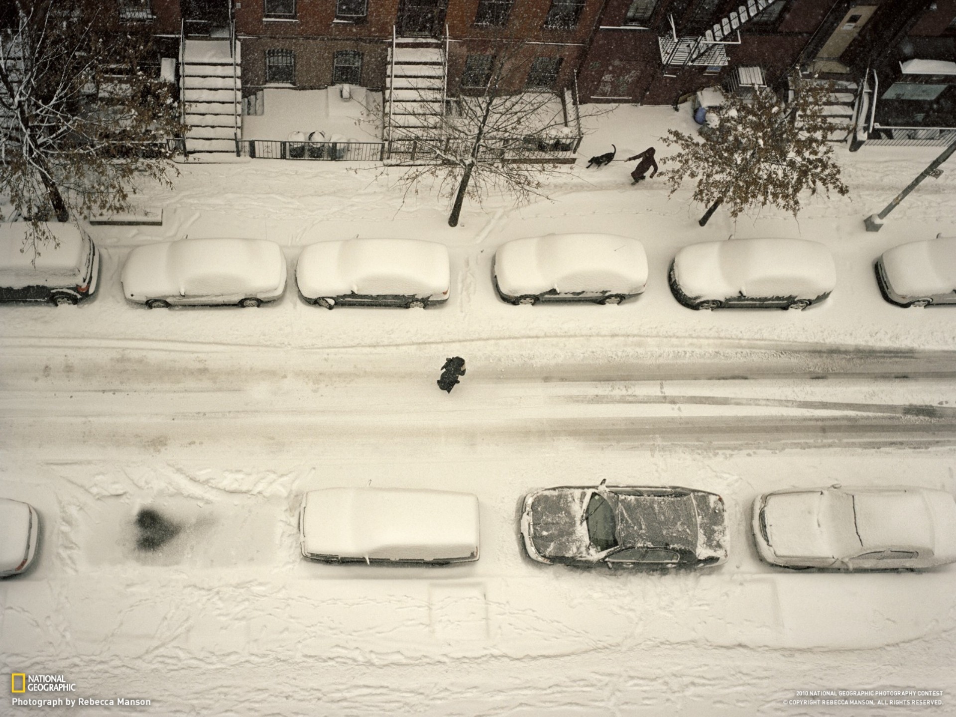 nature, Winter, Snow, Cityscapes, Cars, National, Geographic, Roads, Brooklyn, Hearts Wallpaper