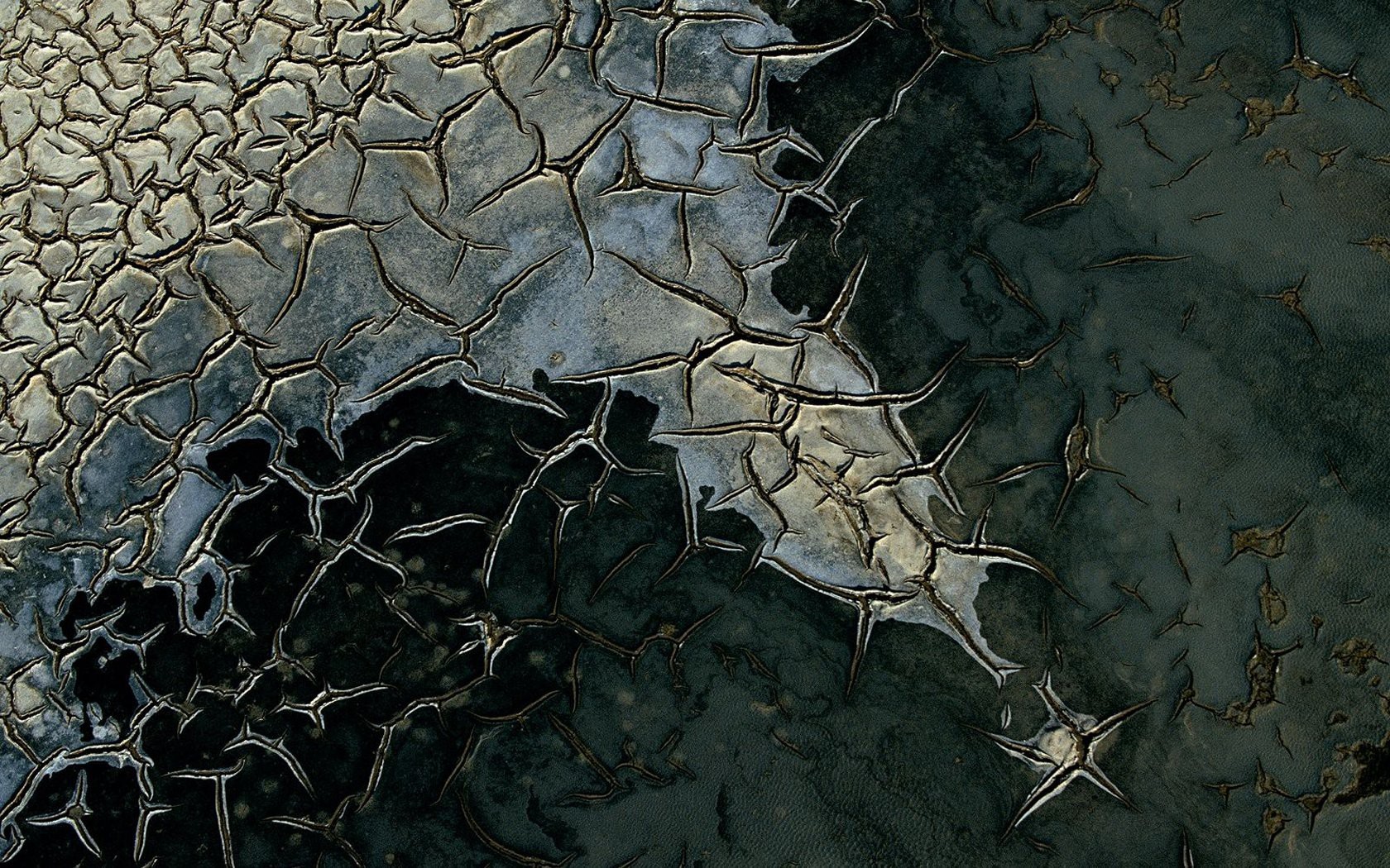 nature Wallpaper