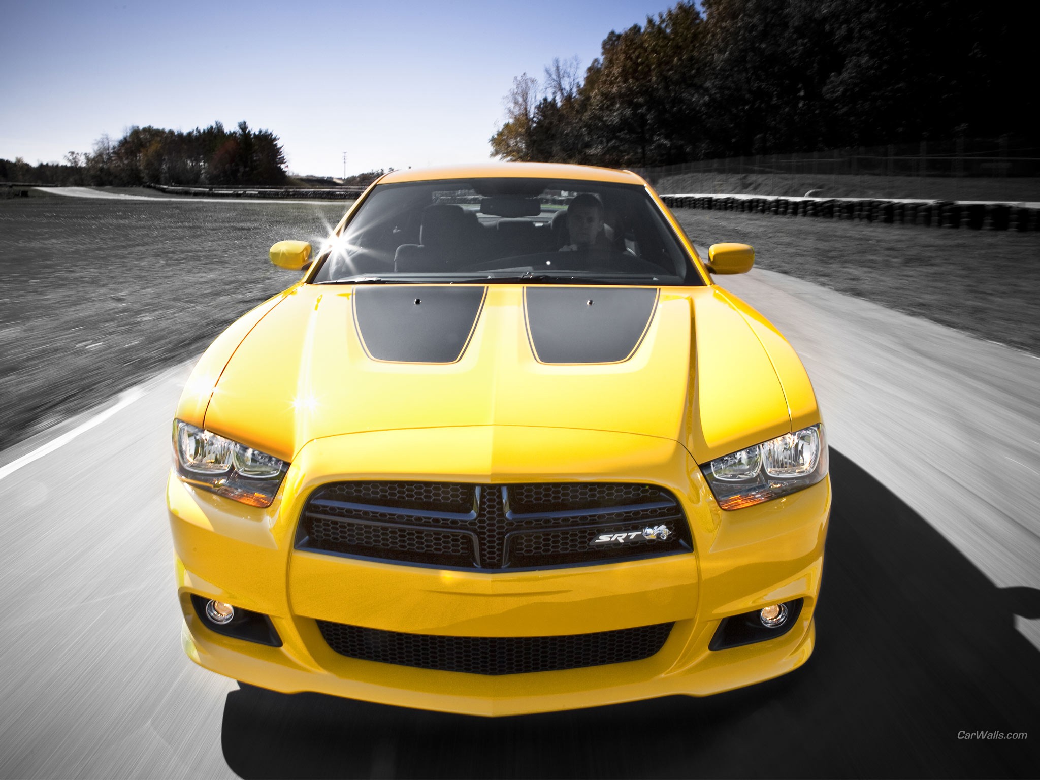 cars, Muscle, Cars, Super, Bee, Dodge, Charger Wallpaper