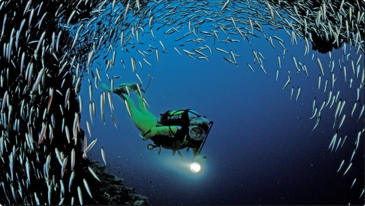 scuba, Diving, Near, Ari, Atoll, Indian HD Wallpaper Desktop Background