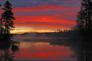 sunrise, Moss, Lake, Dalarna, Sweden