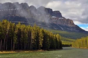 canada, Park, Mountains, River, Forest, Bow, River, Banff, Nature