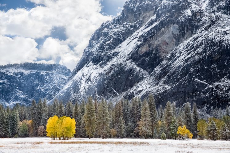 california, Tuolumne, Meadows, Usa, Winter, Forest, Mountain, Autumn HD Wallpaper Desktop Background
