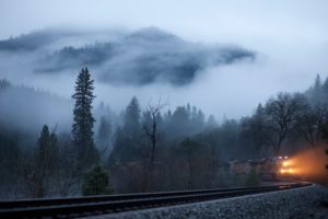 forest, Trees, Mountains, Morning, Fog, Railroad, Train, Landscape, Nature, Railroad