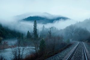 forest, Trees, River, Water, Mountains, Morning, Fog, Railroad, Landscape, Nature, Train
