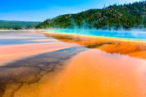 hot, Spring, Sky, Trees, Yellowstone, National, Park, Grand, Prismatic, Spring, Yellowstone, Wyoming