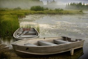 lake, Water, Forest, Mist, Boats