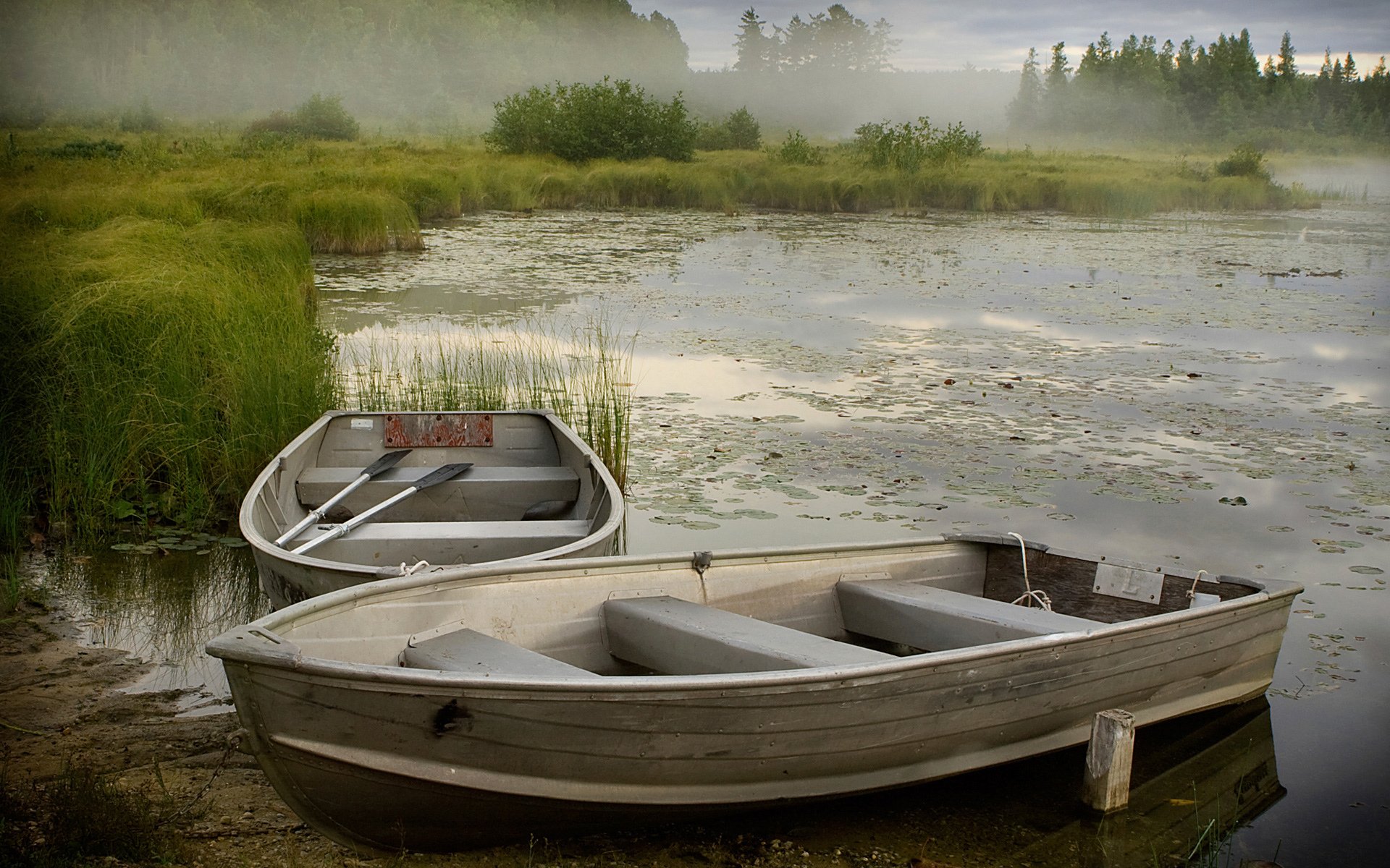 lake, Water, Forest, Mist, Boats Wallpaper