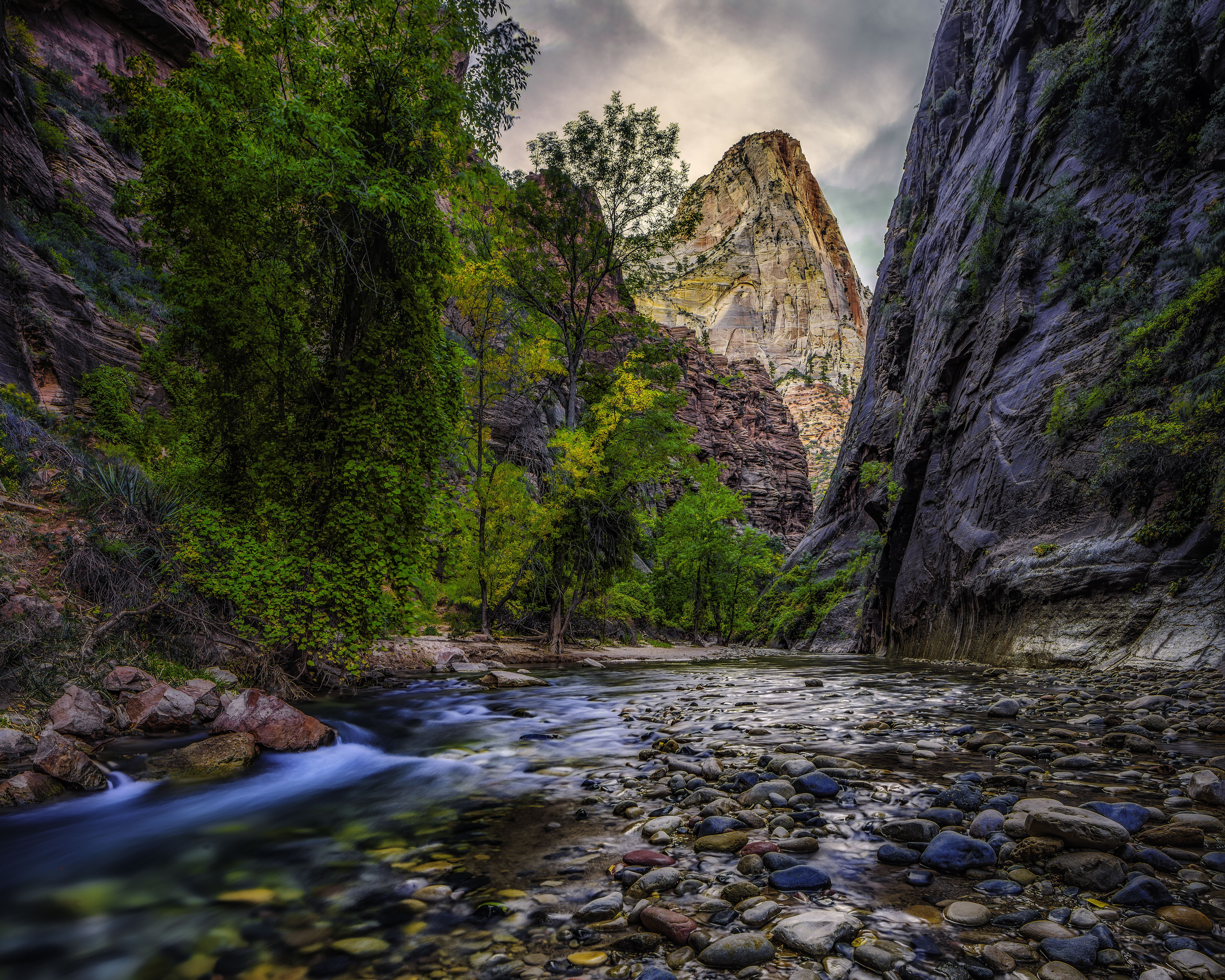 river, Trees, Rocks, Gorge, Nerrous, Nerrous, Zion, National, Park Wallpaper