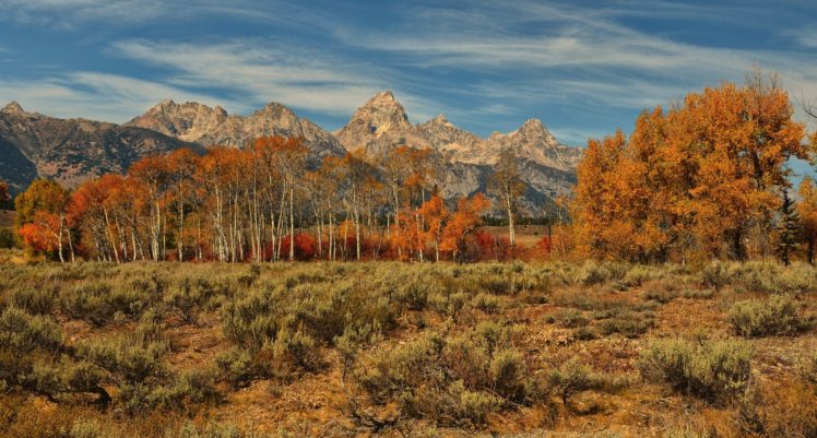 seasons, Autumn, Mountains, Trees, Nature HD Wallpaper Desktop Background