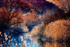 seasons, Autumn, Water, Trees, Hdr, Nature, River
