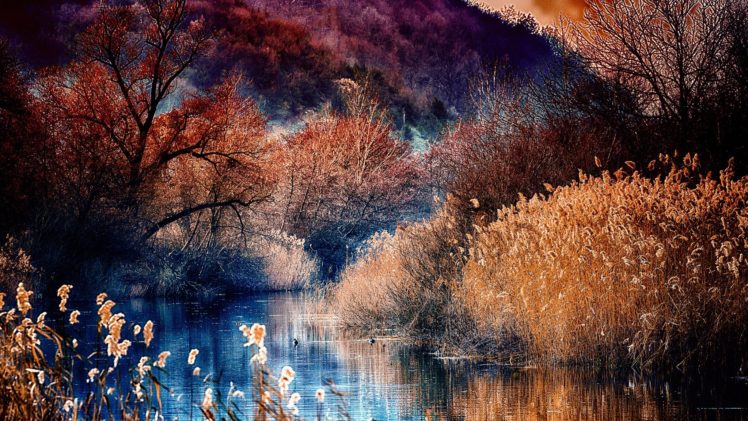 seasons, Autumn, Water, Trees, Hdr, Nature, River HD Wallpaper Desktop Background