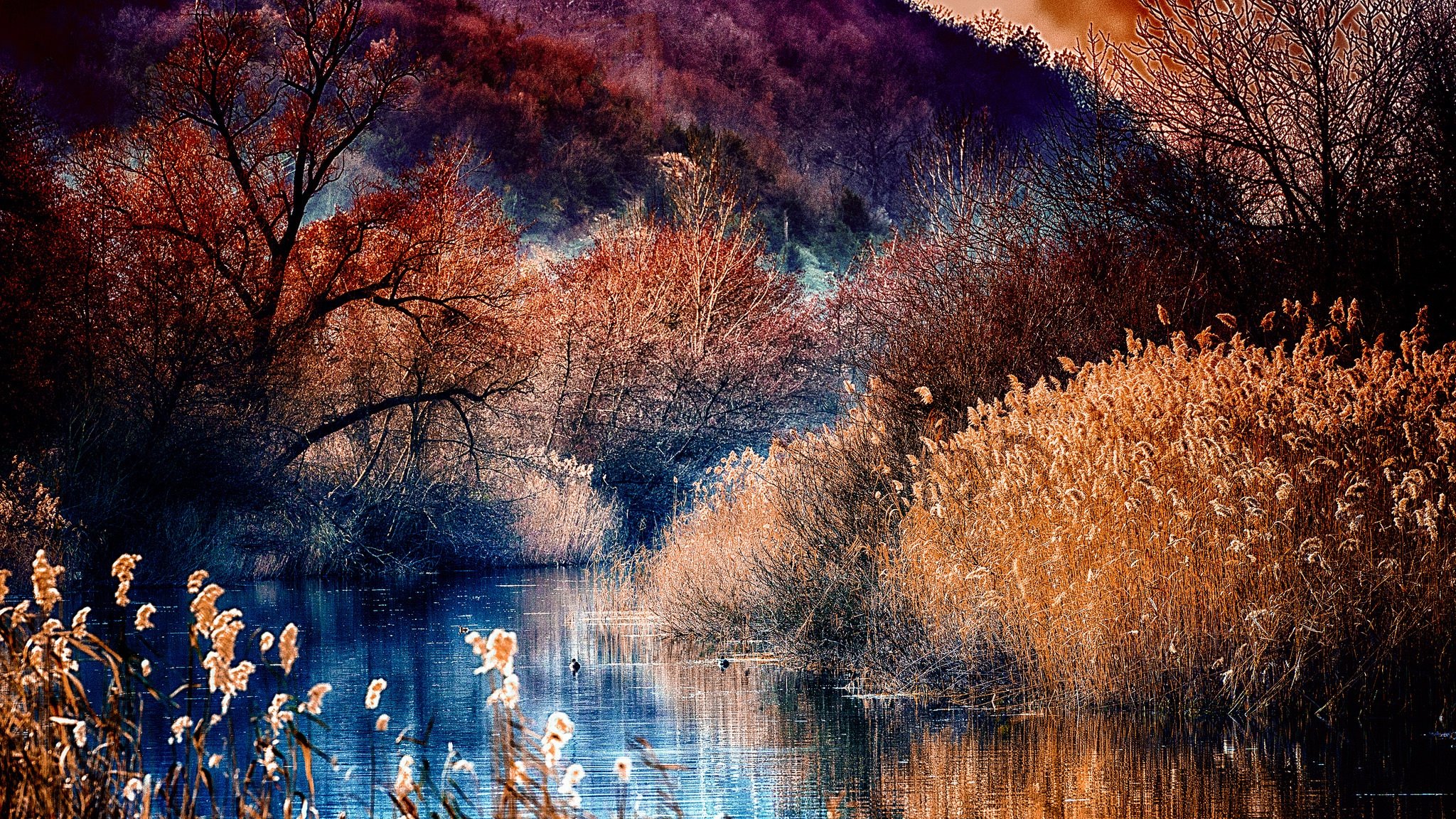 seasons, Autumn, Water, Trees, Hdr, Nature, River Wallpaper