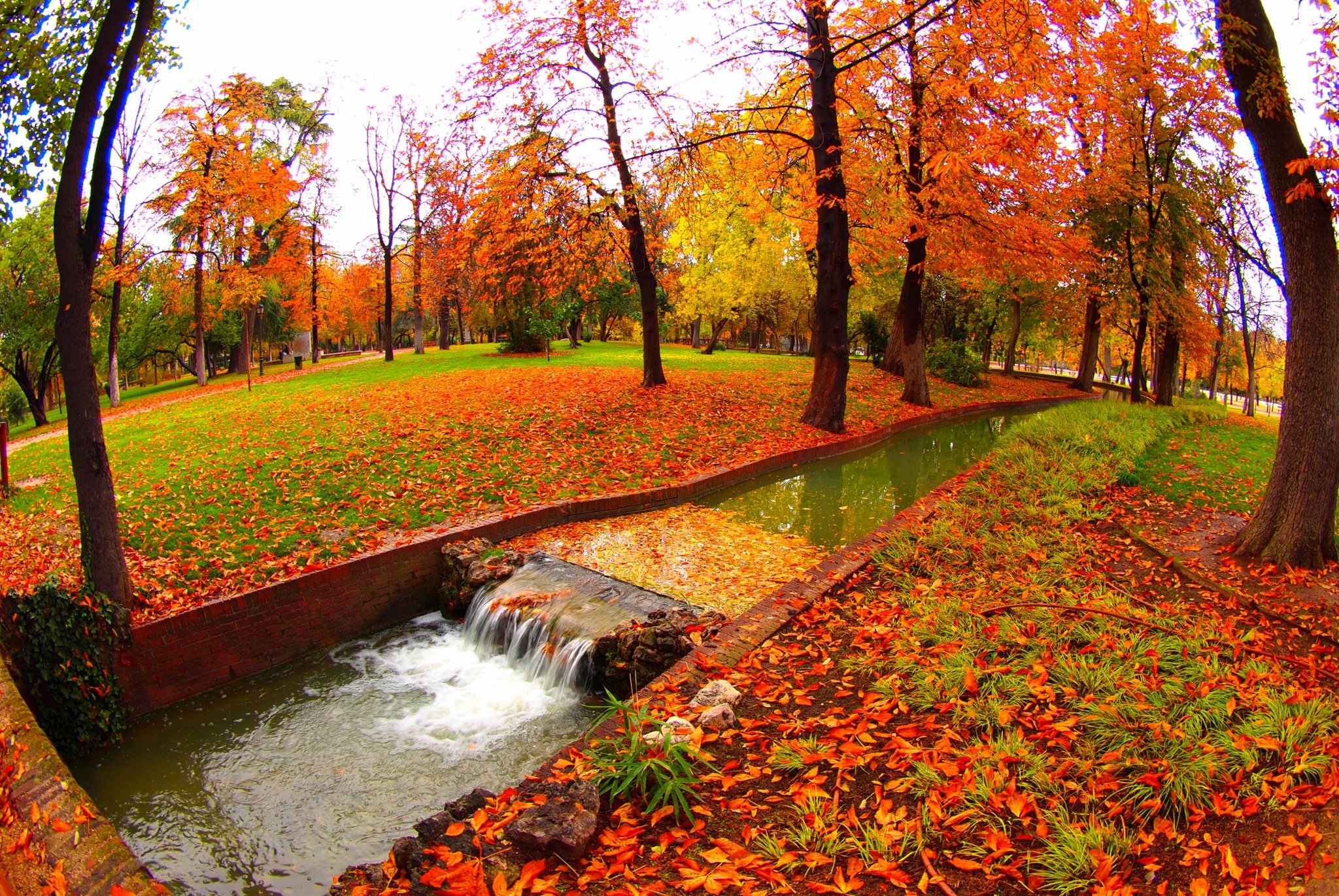 seasons, Autumn, Trees, Foliage, Nature Wallpaper