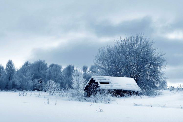 seasons, Winter, Trees, Snow, Nature HD Wallpaper Desktop Background