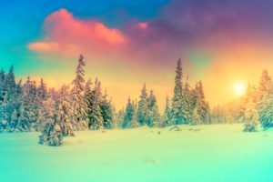 seasons, Winter, Scenery, Sky, Fir, Snow, Nature