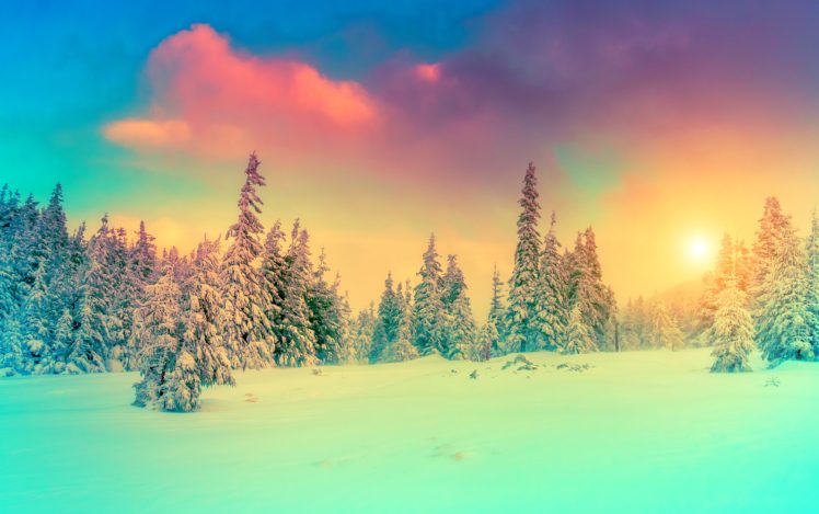 seasons, Winter, Scenery, Sky, Fir, Snow, Nature HD Wallpaper Desktop Background