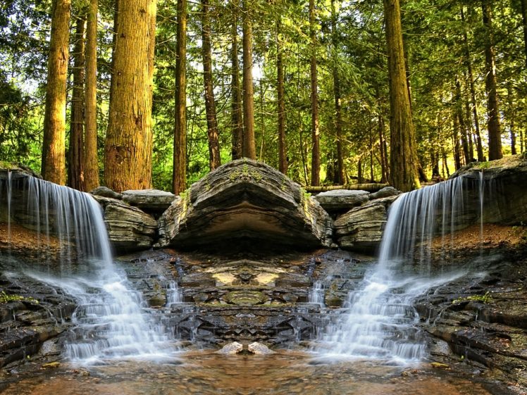 trees, Creek, Forest, Waterfall, Stones HD Wallpaper Desktop Background