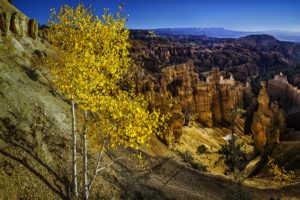 trees, Mountains, Rocks, Usa, Utah, Bryce, Canyon, National, Park