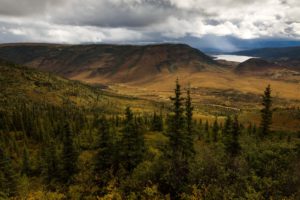 usa, Park, Scenery, Mountains, Denali, Alaska, Fir, Nature