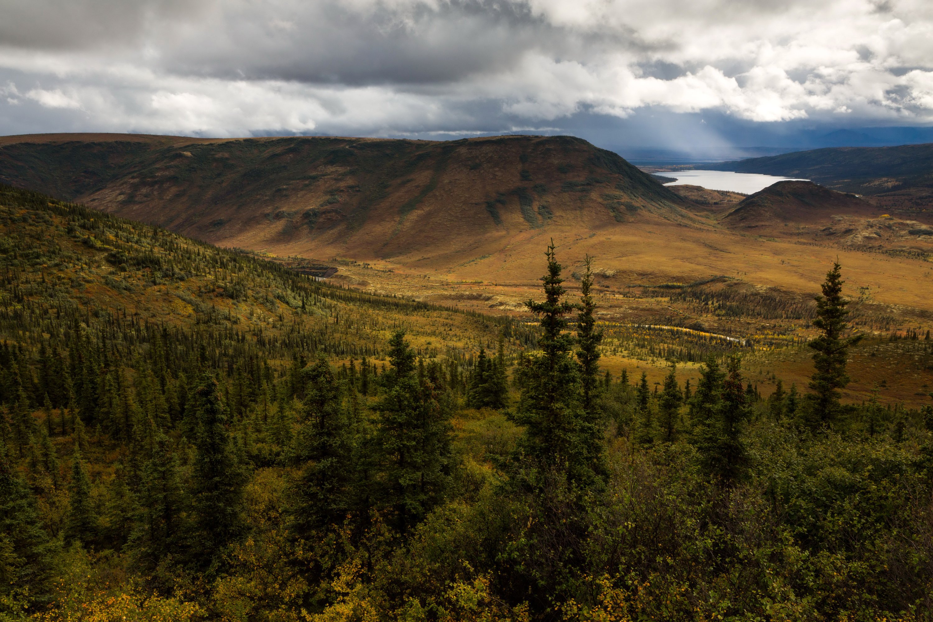 usa, Park, Scenery, Mountains, Denali, Alaska, Fir, Nature Wallpaper