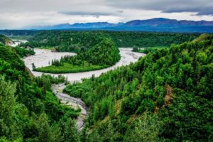 usa, Park, Scenery, River, Forest, Denali, Alaska, Nature