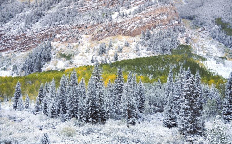 winter, Mountain, Forest, Maroon, Bells, Colorado, Aspen, Usa HD Wallpaper Desktop Background