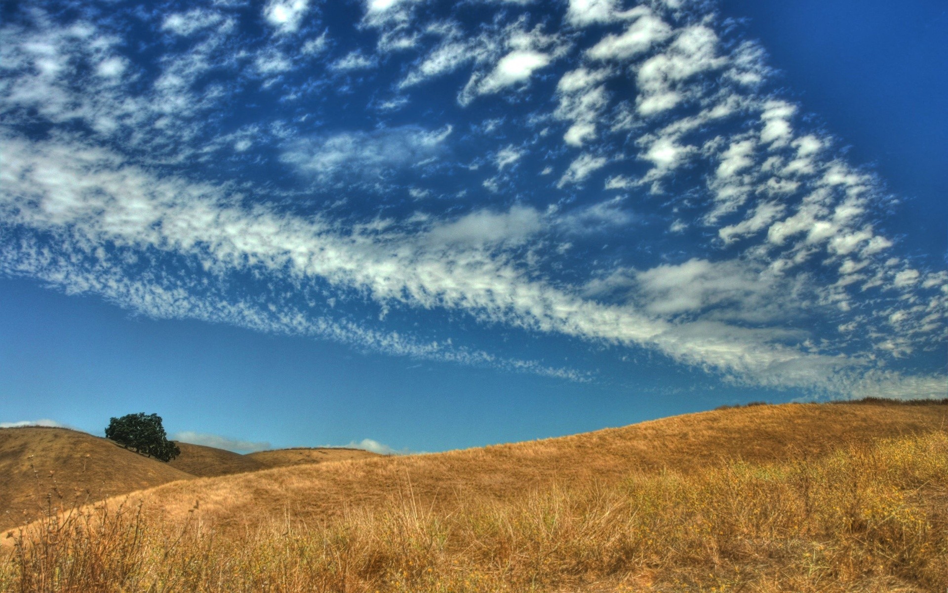 fields, Skyscapes Wallpaper