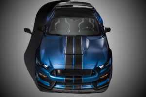 2016, Ford, Shelby, Mustang, Gt350r, Muscle