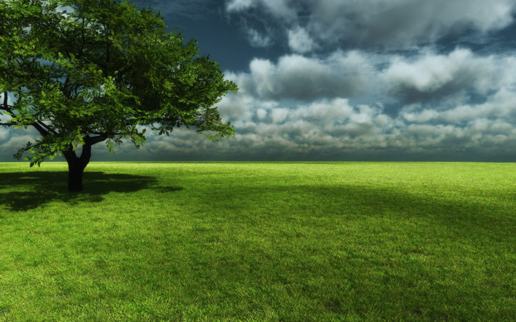 clouds, Landscapes, Nature, Trees, Garden, Meadow HD Wallpaper Desktop Background