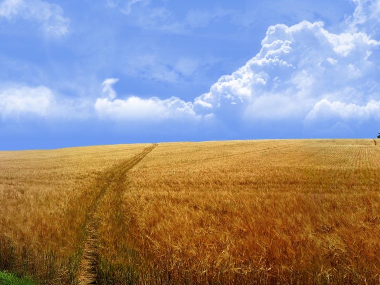 clouds, Landscapes, Nature, Fields HD Wallpaper Desktop Background