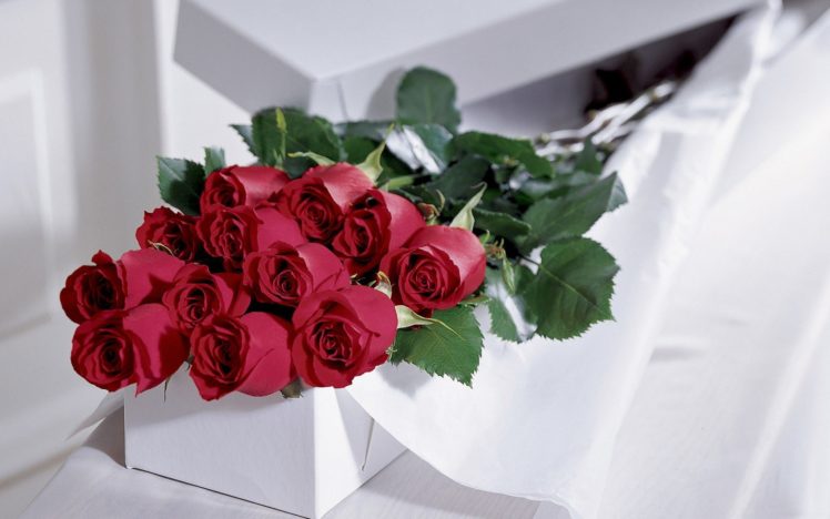 flowers, Roses, Romance, Love HD Wallpaper Desktop Background