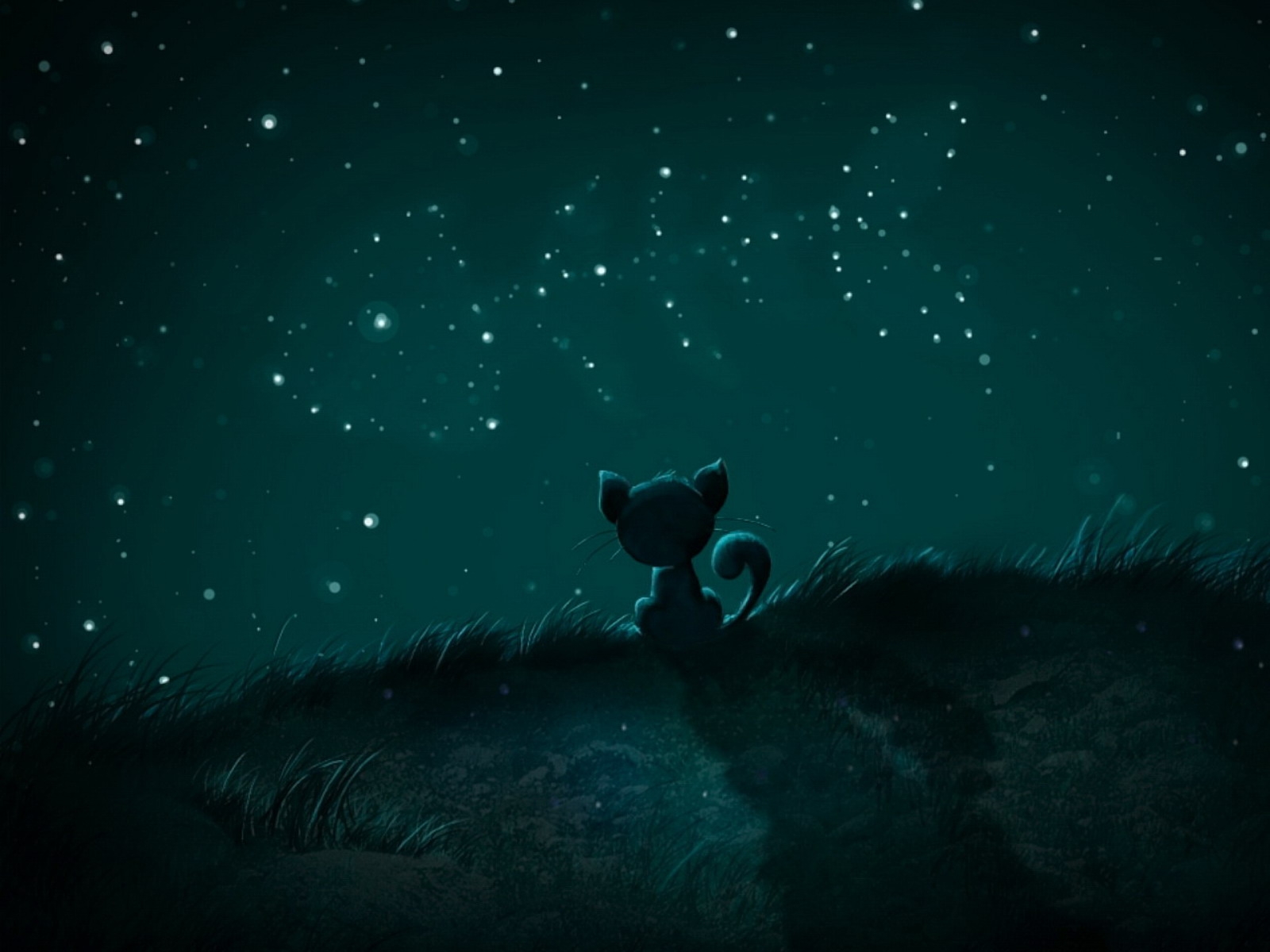 cartoons, Stars, Cats, Fish, Catalunya Wallpaper