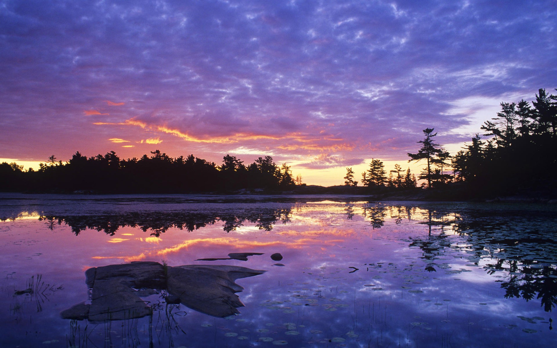 landscapes, Trees, Lakes Wallpaper