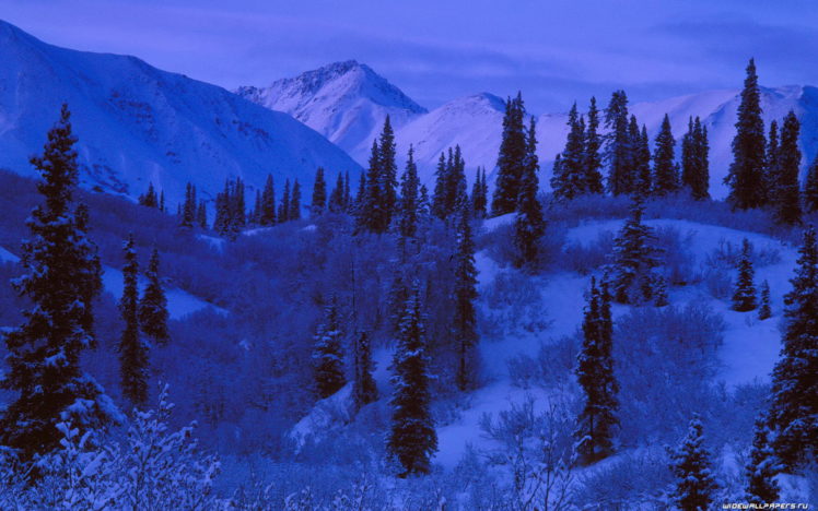 mountains, Nature, Forest, Snow, Landscapes HD Wallpaper Desktop Background