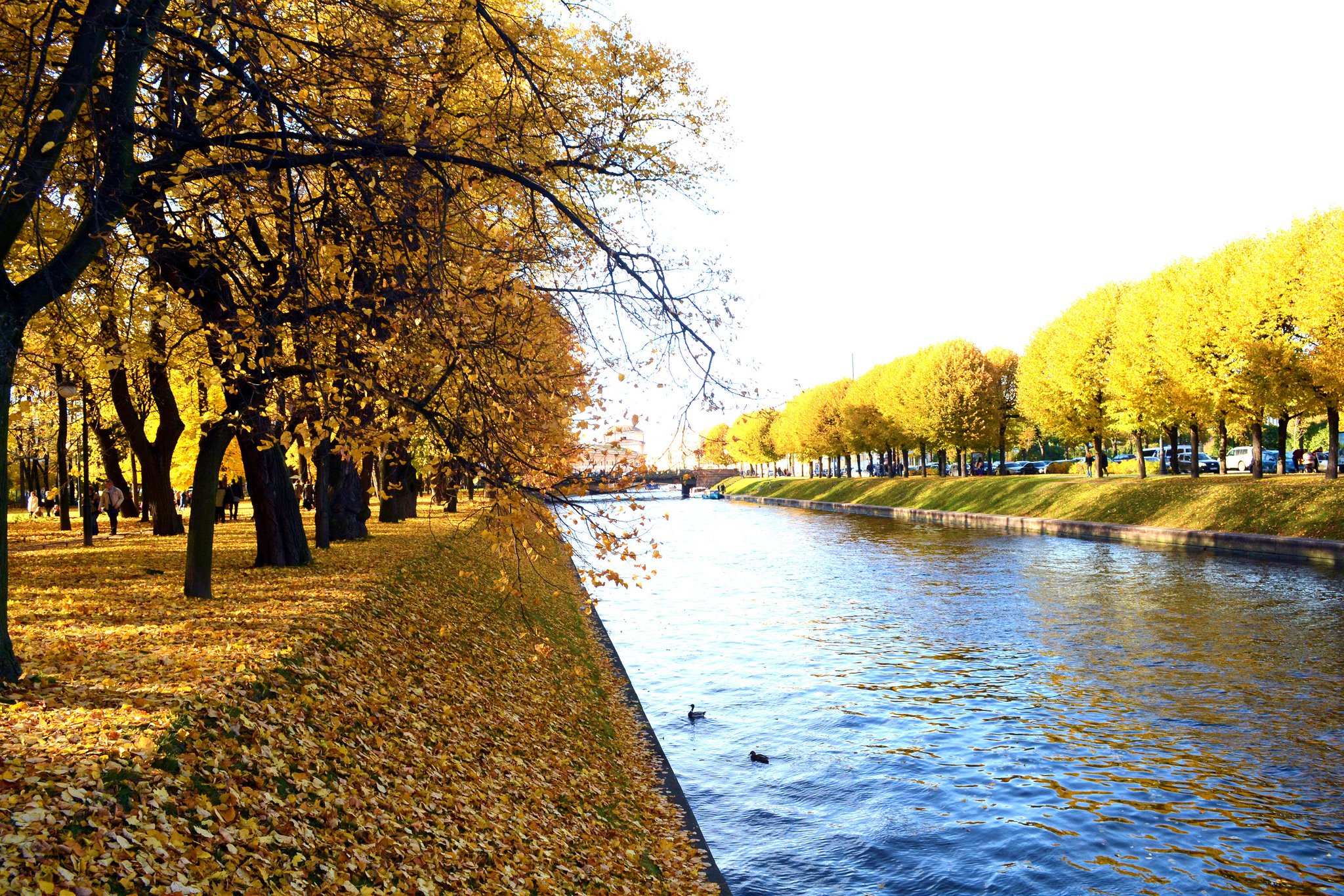 cityscape, Town, Look, Area, Urban, Buildings, City, Arhitecture Wallpaper