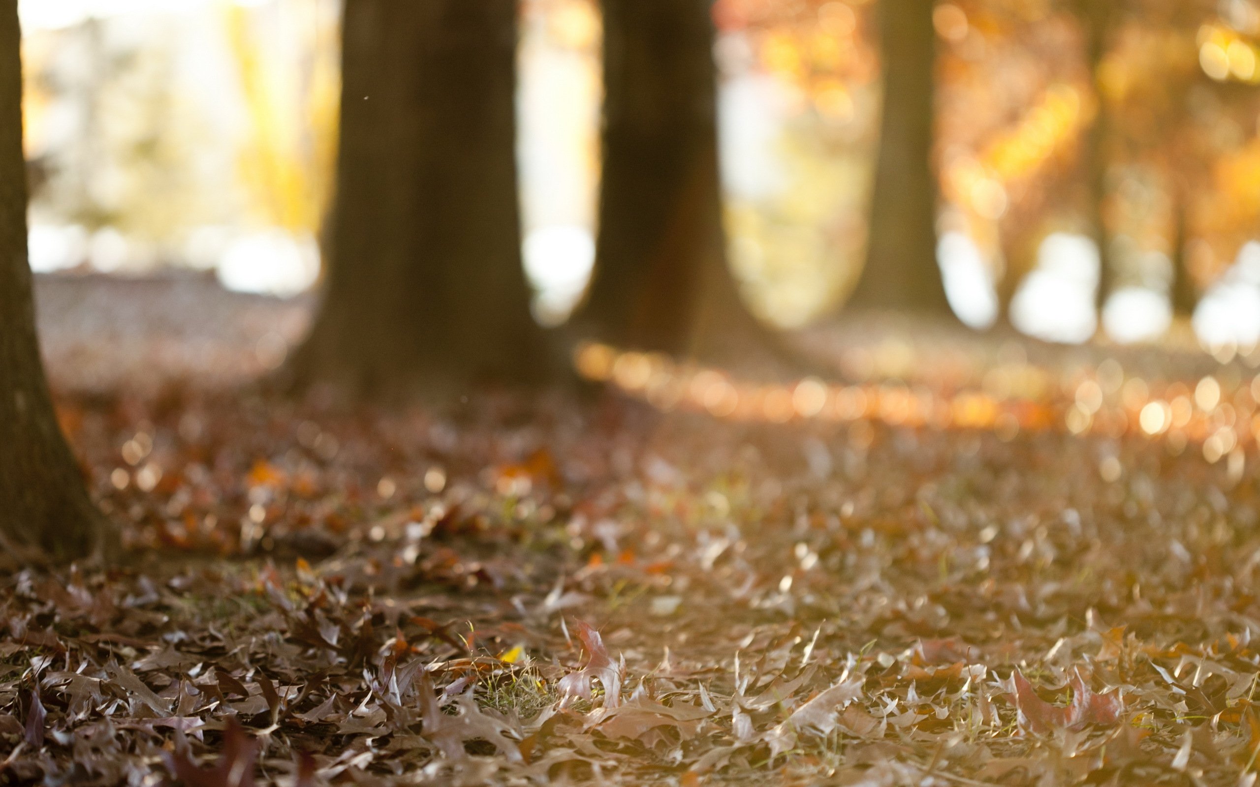 cityscape, Town, Look, Area, Urban, Buildings, City, Arhitecture Wallpaper